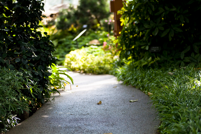 Illustration for article titled Muttart Conservatory - Tamron 90mm Review